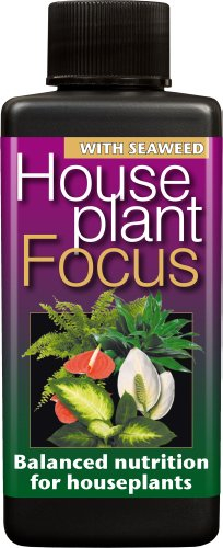 Houseplant Focus Balanced Liquid Concentrated Fertiliser 100ml (3)