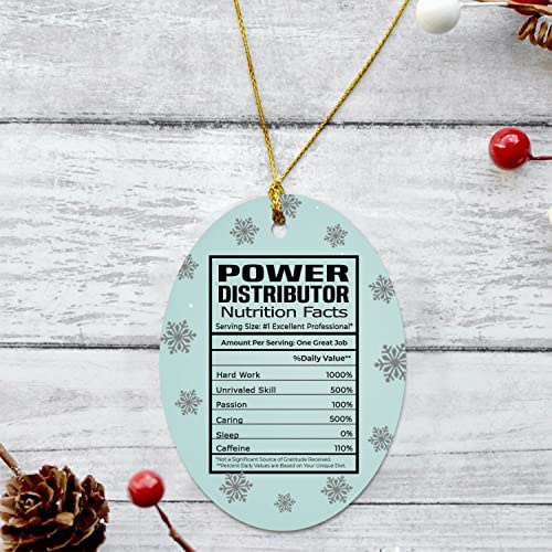 Congratulations New Job Christmas Ornament 2022 - Power Distributor Nutrition Facts Ornament - Power Distributor Ornament Oval Plastic Flat
