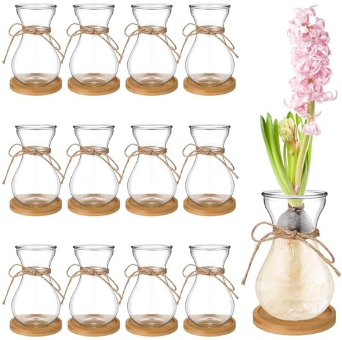 Bulb Glass Vases for Flowers Forcing Hyacinth Clear Decorative Bulb Vase with Round Bamboo Coaster for Home Office Table Decoration(12 Pcs)