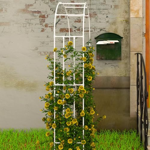 Gurkenspalier Weißer Garten Halbbogen Blumenlaube, Metall-Bogenspalier für Kletterpflanzen Rebe, Weintraube Hochbeete Rahmen Rose Unterstützung, 2.4m/7.5ft Tall Gurke wachsen unterstützt Pole ( Color