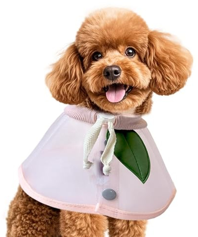 Cono Per Cani Proteggi Collo Anti Leccamento | Collare per Gatti e Cono Cani in Rete Comoda Per Animali Di Taglia Piccola Media Grande Cuccioli Interno Esterno Giardino