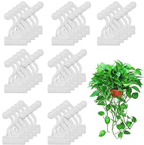 NKY Nalakey Wand Befestigungs Clips,Selbstklebend Pflanzenclips Pflanzenbinder, für Pflanzen Sicherung Unterstützt Einzupflanzen, Pflanzen Wand, Home Decoration (100pcs)