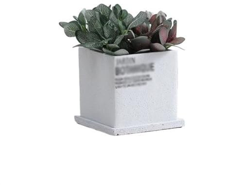 Maceta de cemento grande blanca moderna con bandeja, creativa, cuadrada, suculenta y maceta, para vegetación personalizada, diseño pequeño perforado para plantas transpirables