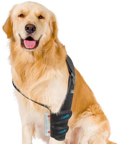 Schulter- und Ellenbogenbandage für Hunde, schützende Bandage für ältere Hunde mit Hygroma, Dysplasie und Arthritis, verhindert Schwielen und Druckstellen, bequeme Passform für den ganzen Tag