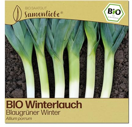 Samenliebe BIO Lauch Samen | Winterlauch Blaugrüner Winter - Porree winterhart - samenfestes BIO Saatgut