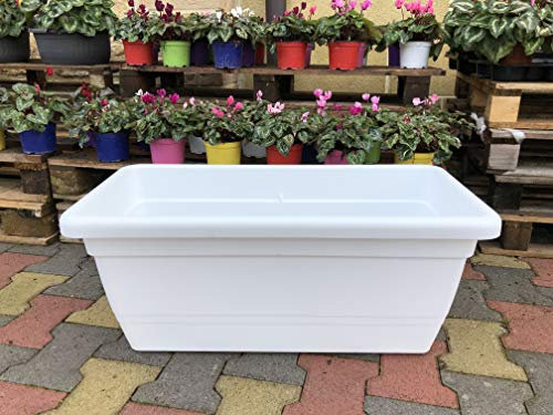Generico Sottovaso Sottofioriera per Vaso FIORIERA Rettangolare da 50 CM con SOTTOVASO Incluso Vari Colori Anthea da Interno e da Esterno AMDGarden (Bianco)