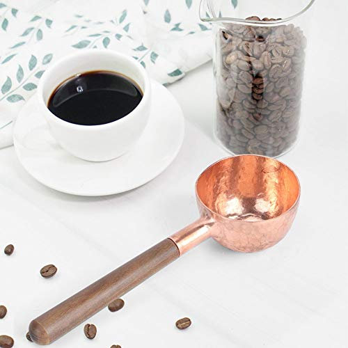 Nikou Cuchara medidora de café de acero inoxidable, cuchara de mango largo para granos de café, leche en polvo, té, cuchara medidora de cocina, acabado dorado, 18 cm de largo, herramienta de cocina
