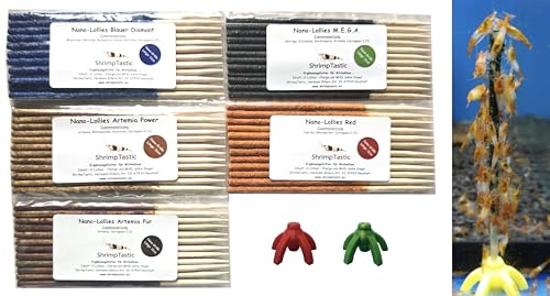 Nano-Lollies Spar-Set 11cm / 5x12 Stück + 2 Halter/Futter Garnelen Lollies Lutscher Sticks Stangen