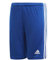 adidas Jungen Squadra 21 Shorts, Royal Blue/White, 15-16 Years