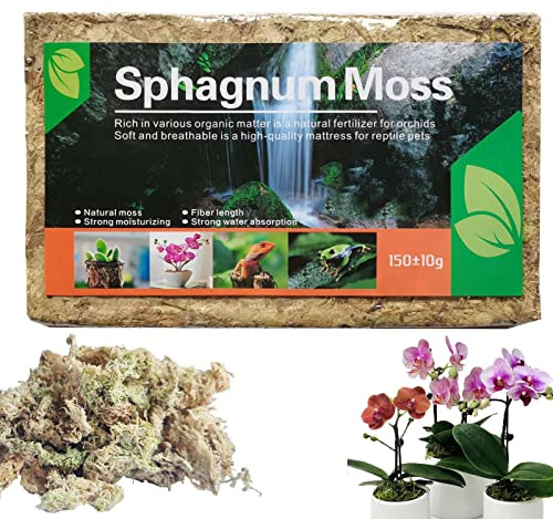 Joberio 5 Musgo de esfagno de Fibra Larga | Mezcla para macetas de orquídeas - Mezcla para macetas para Plantas carnívoras, Musgo, Secado al Aire Natural