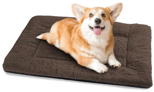 Baodan Cama para perros pequeños lavable, 75 x 50 cm, cojín para perros mullido con parte inferior antideslizante, camas para perros pequeños y medianos, color marrón