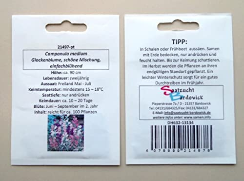 Glockenblume, schöne Mischung, einfachblühend