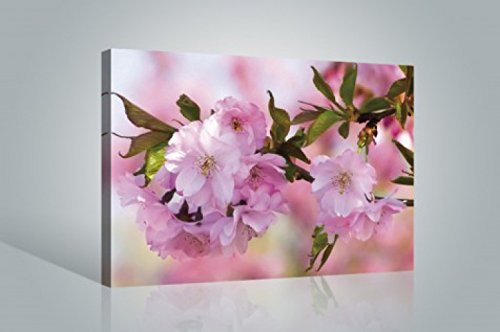 1art1 Blumen Poster Kirschblüten Bilder Leinwand-Bild Auf Keilrahmen | XXL-Wandbild Poster Kunstdruck Als Leinwandbild 120x80 cm