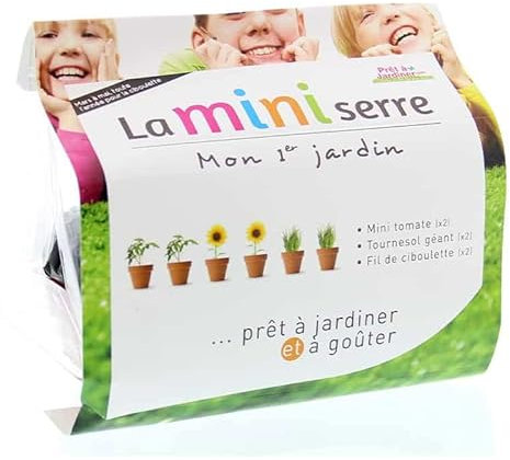 Esschert Mini Serre Jardin d'Enfant GREENHOUSE
