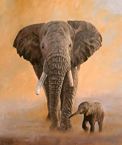 XCSQTYMY Malen Nach Zahlen Erwachsene Kinder Anfänger Bunter Elefant DIY Paint by Numbers Handgemalt Ölgemälde Auf Leinwand Malen Nach Zahlen Kits