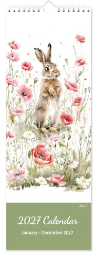 Calendar 2026 - Wall Calendar 2026, 12 Month to View Wall Calendar 2026 with Different Lovely Animal Illusions, Jan. 2026 - Dec.2026, Sturdy Hanging Hook, 14.7 * 42 CM