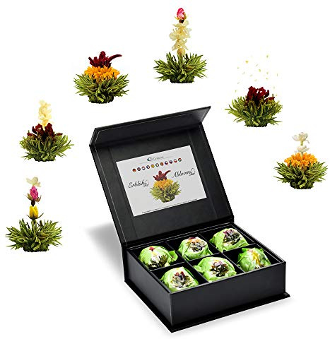 Creano „Fleurs de Thé“ Verts 6 pcs – Coffret Magnétique Moderne – 6 variétés de thé vert fruité aromatisé – Idée cadeau chic