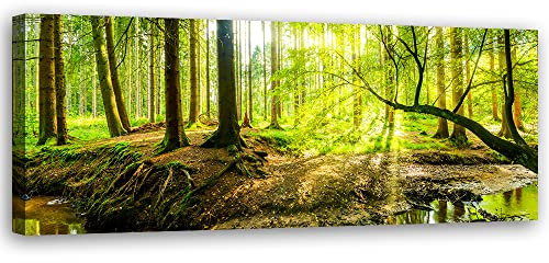Feeby Vlies Leinwandbild Wald Bäume Natur 150x50 cm Wanddeko Design Kunstdruck Zimmerdeko Bilderwand Blätter Sonnenstrahlen Moos Grün