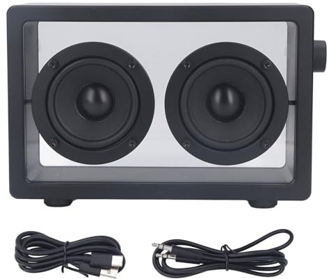 SUNGOOYUE Haut-Parleur sans Fil Transparent BLUETOOTH5.3 15M 16W HiFi Portable pour PC DE Bureau DE FÊTE À LA Maison (Black)