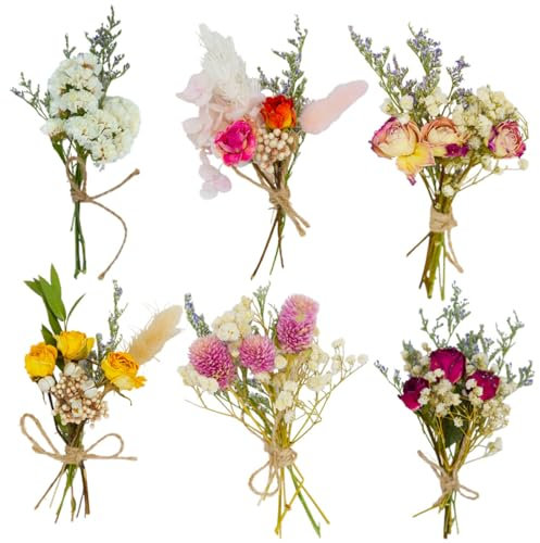 LEEQ Trockenblumenstrauß - Trockenblume, Getrocknete Blumenstrauss, Getrocknete Blumen Trockenblumen zum Basteln für Bilderrahmen DIY Heim-Party Und Hochzeitsdekoration, 6 Bündel