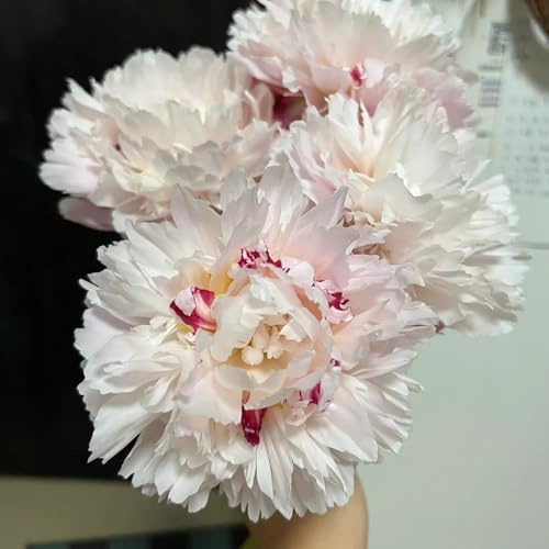 Semi di peonia, balcone decorazioni giardino per esterni semi di selvatici per i luoghi soleggiati estivi, appartamento resistenti 150pcs