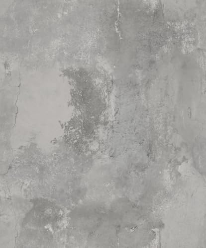 Grandeco Brandenburg Rustikale Industrie graue Beton-Strukturtapete
