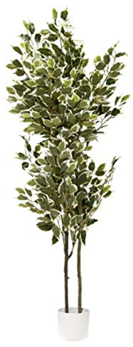 VEA SRL Plante G. FICUS 150 cm CHI57991