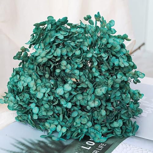 ZEYRU Hortensia preservada de Colores con Cabeza de 25cm, Hortensia con Tallo, Hoja pequeña, Flores eternas Reales, Material de Bricolaje Hecho a Mano, decoración del hogar-12