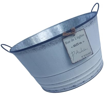 JDNH Contenitore per piante in metallo resistente, design con doppia impugnatura, adatto per piantare da tavolo all'interno e all'esterno per orticoltura, fioriera decorativa in metallo