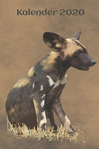 Kalender 2020: Jahreskalender 2020 mit afrikanischem Wildhund - 1 Woche auf 2 Seiten in Farbe | DIN A5 linert | Softcover