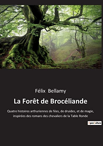 La Forêt de Brocéliande: Quatre histoires arthuriennes de fées, de druides, et de magie, inspirées des romans des chevaliers de la Table Ronde
