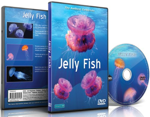 Jelly Fish DVD with Relaxing Scenes of Sea Jellies for Relaxation and Waiting Rooms