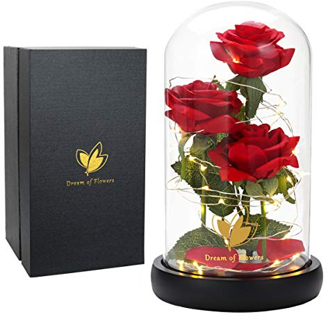 Dream of Flowers Gifts for Mom Mothers Day Birthday Gifts for Women,Beauty and The Beast Rose in Glass Dome,Anniversary Rose Gifts for Wife,Romantic Red Silk Rose Flower Gifts for Women