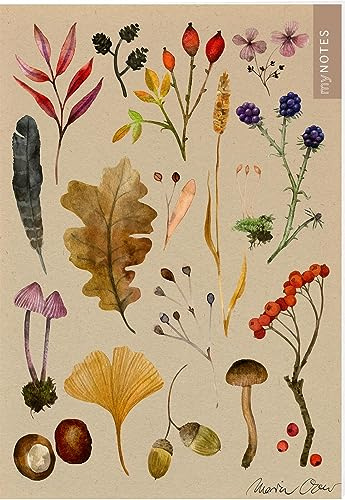 myNOTES Papeterie: Notizheft Naturschätze: Bunte Herbstblätter | Heft liniert A5, herbstliche Naturoptik, für Notizen und gute Ideen unterwegs (myNotes Notizheft)
