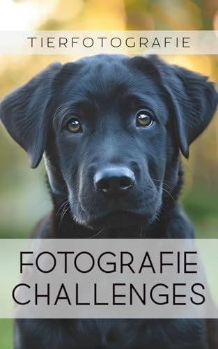 Fotografie Challenges - Tierfotografie: 50 Aufgaben und Ideen für die Tierfotografie | für Fotobegeisterte, Anfänger, Fortgeschrittene