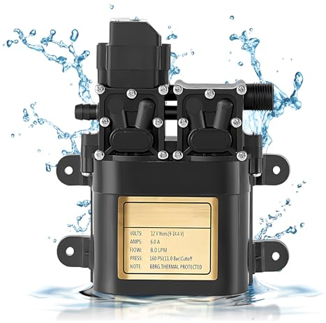 Pompa portatile a doppia membrana da 12 V con pressione incorporata ad alta 8 0 l/min di flusso per l'irrigazione del giardino agricolo di casa, lavaggio auto, camper, giardino agricolo