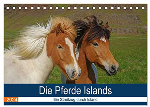 Die Pferde Islands - Ein Streifzug durch Island (Tischkalender 2024 DIN A5 quer), CALVENDO Monatskalender: Die wunderbaren Islandpferde werden in ... schönsten Seite präsentiert (CALVENDO Tiere)
