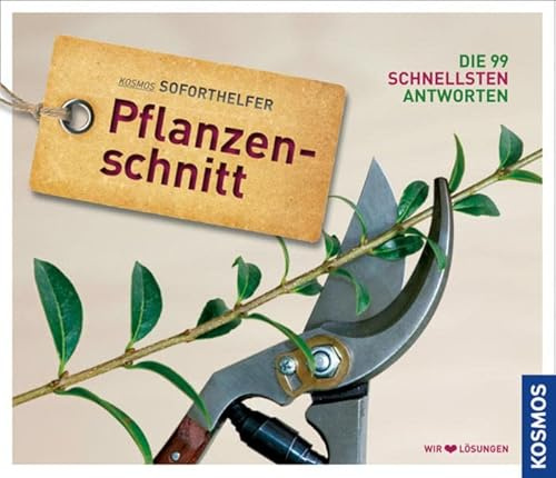 Soforthelfer Pflanzenschnitt: Die 99 schnellsten Lösungen