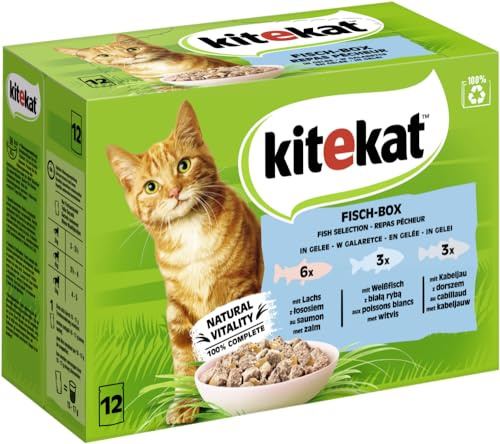 KITEKAT Contenitore per pesci in gelatina, 12 x 85 g, cibo umido per gatti
