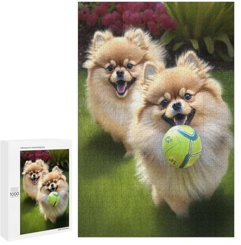 1000 Pieces Jigsaw Puzzle for Adults - Two Pomeranians Playing Ball In The Garden Cute Dog Puzzles Contemporary Simple Life Funny Challenging Puzzle Perfect for Game Nights