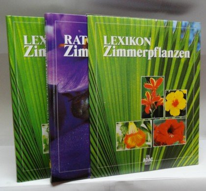 Ratgeber und Lexikon Zimmerpflanzen