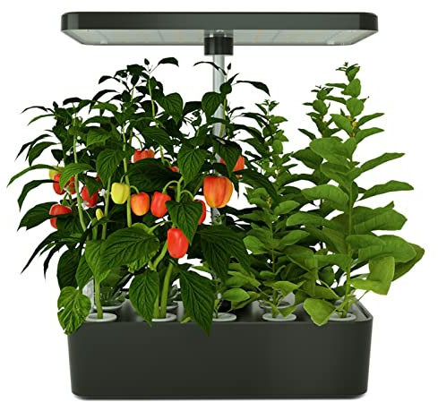 BJTYHT Giardino for Erbe Indoor in Crescita idroponica Kitwith PORTATO Grow Light Smart Hydroponic Planter