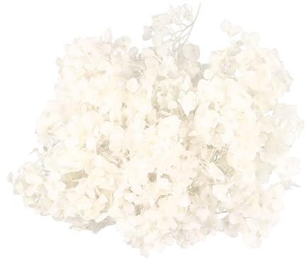 Ciieeo Flores Secas Naturales de Color Claro para Uso Manual y Eventos, Pétalos Finos de 20g para Manualidades y Decoración de Cumpleaños