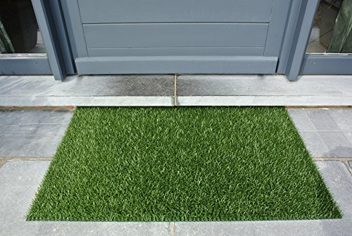 AstroTurf Classic Zerbino per Ingresso da Esterno, Polietilene, Verde Classico, 90 x 55 x 2 cm