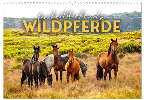 Freiheitsliebende Wildpferde (Wandkalender 2026 DIN A3 quer), CALVENDO Monatskalender: Ungezähmt und frei. (CALVENDO Tiere)