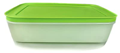 Tupperware A01 Scatola Igloo 1,0 L Bianco Verde 14168