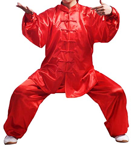 Andux Chinese Traditional Tai Chi Uniforms Kung Fu Clothing Unisex SS-TJF01 (Red, XL)
