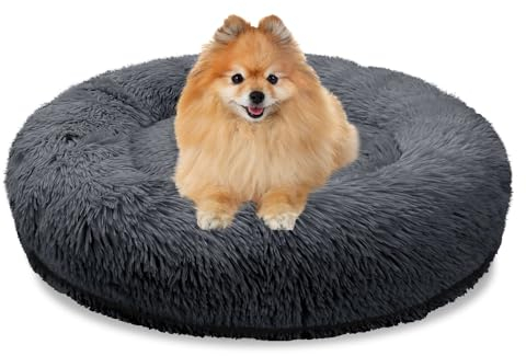 bluzelle Orthopädisches Hundebett für Kleine Hunde & Katzen, 60cm Donut Kissen Waschbar Rund Memory Foam Hundekorb Katzenbett Flauschig Hundekissen Katzenkissen, Farbe:Dunkel-Grau