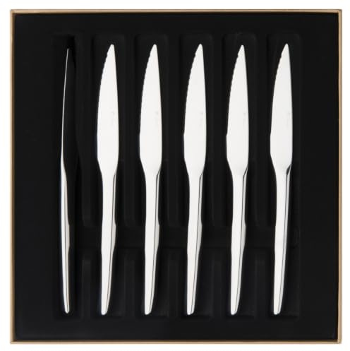 DEGRENNE Guy Guest Coffret 6 Couteaux à Steak Inox | Coffret 6 Couteaux à Steak Monobloc en Acier Inoxydable, Lame Scie pour une Découpe Nette des Viandes