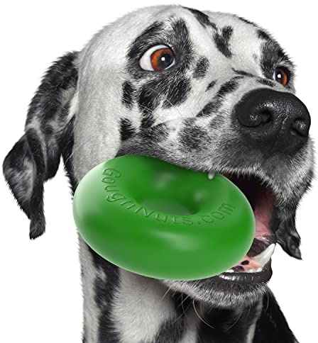 Goughnuts - Hunde-Kauspielzeug, praktisch unzerstörbar - Das Hundespielzeug für Power-Kauer hält selbst hartnäckigen Hunden Stand - Robuster Kautschukring für mittlere Rassen 13-32 kg - Grün 13 cm